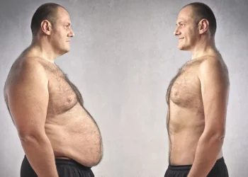The Role of Visceral Fat in Cardiometabolic Disease Onset