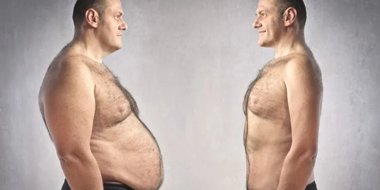 The Role of Visceral Fat in Cardiometabolic Disease Onset